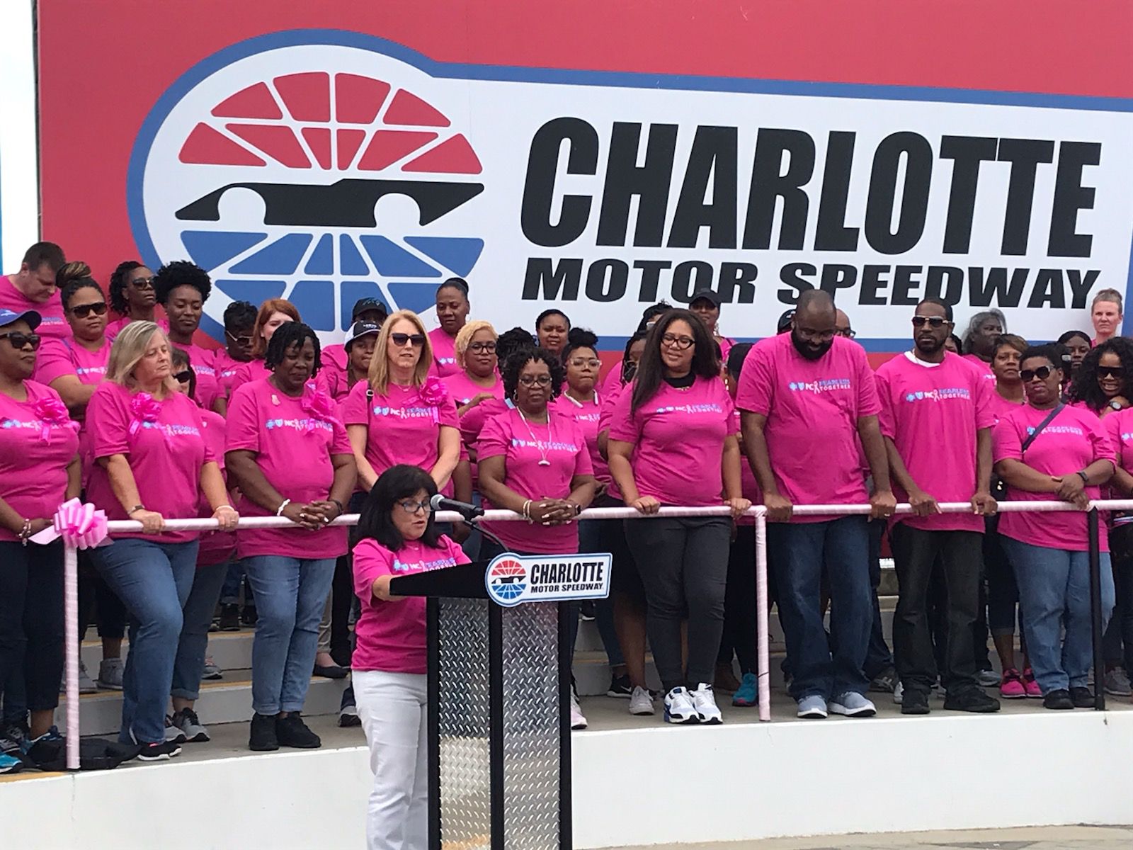 Paint Pit Wall Pink